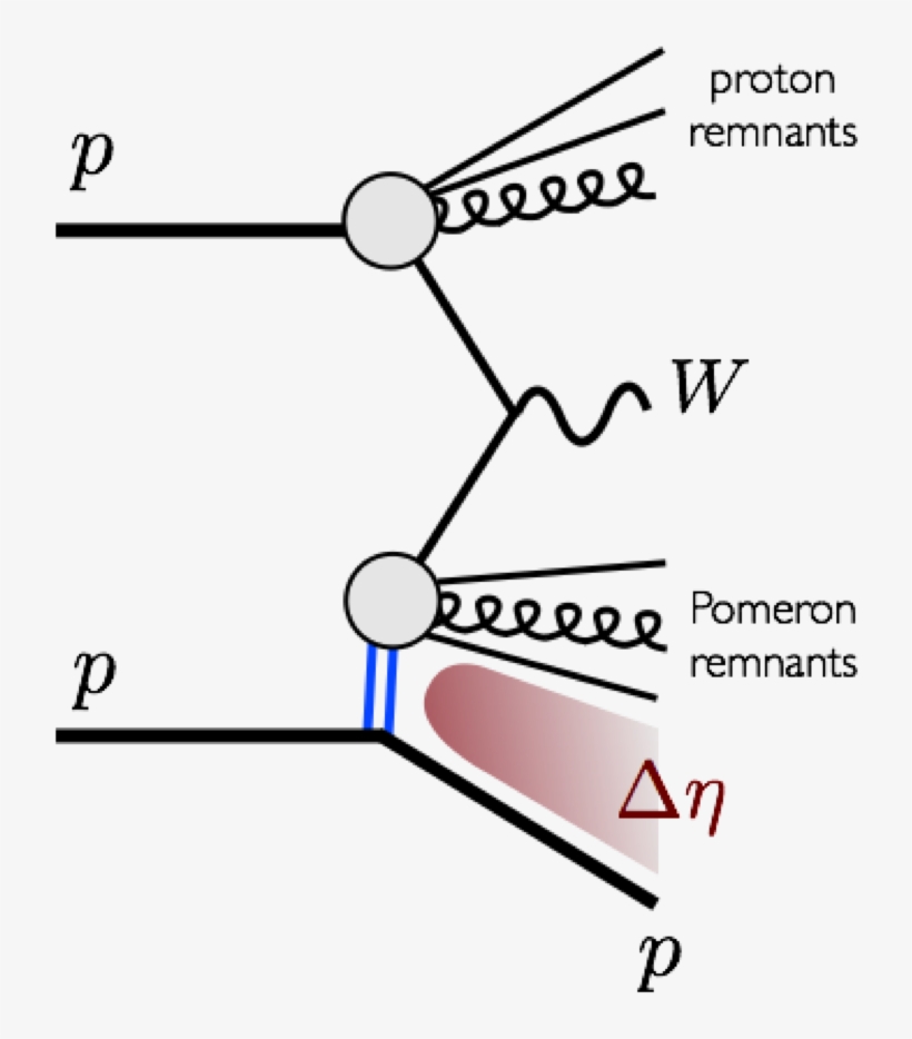 Show More Plots - W Boson Production From Proton Collision, transparent png download