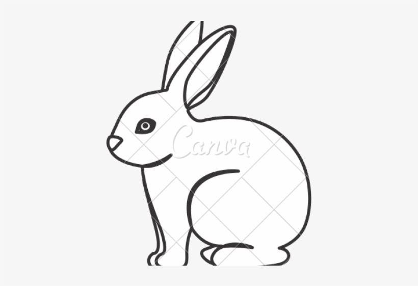 Rabbit Cartoon - Cartoon, transparent png download