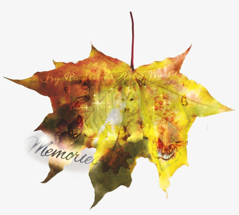 Memories Here's A Brand New Sticker This Edit Rep - Осенние Листья Png, transparent png download