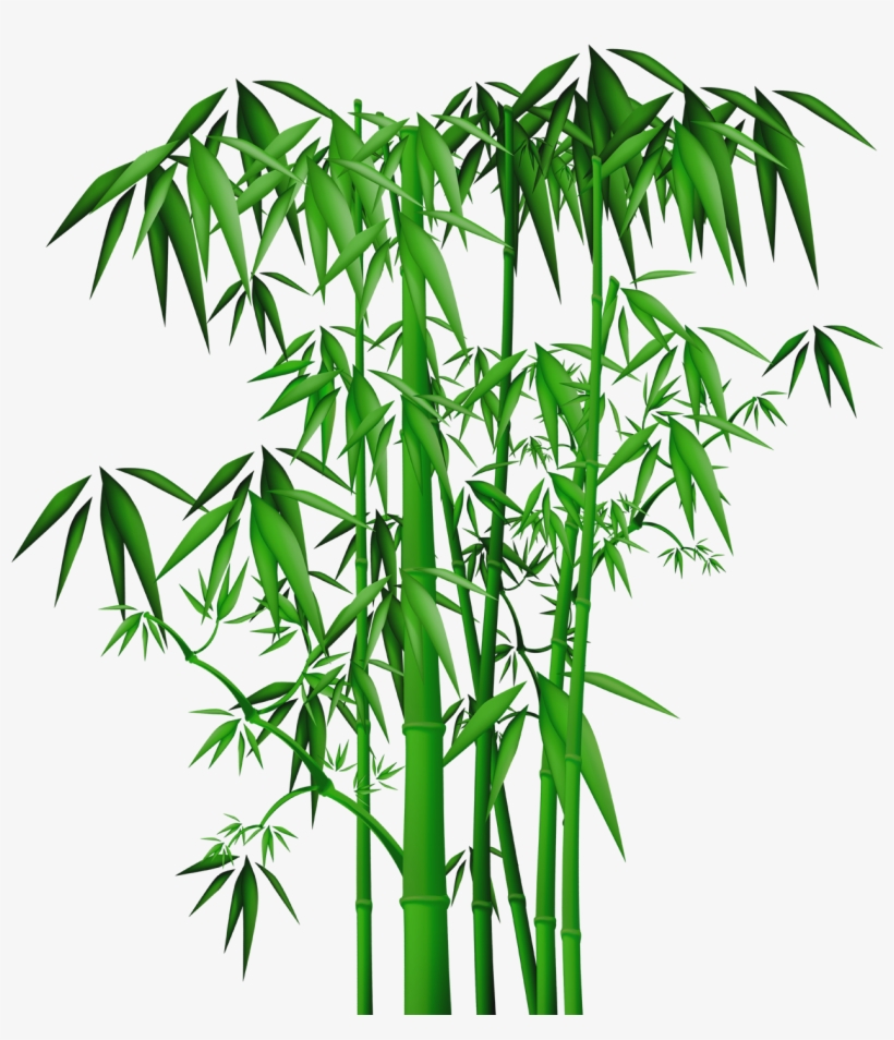Bamboo Png - Bamboo Painting, transparent png download