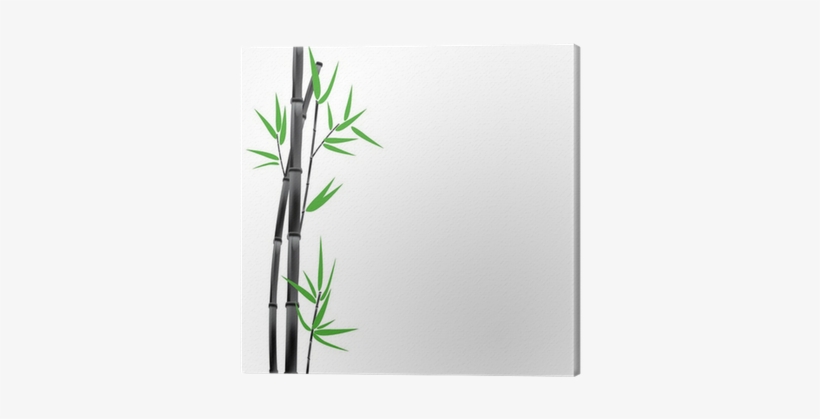 Canvas, transparent png download