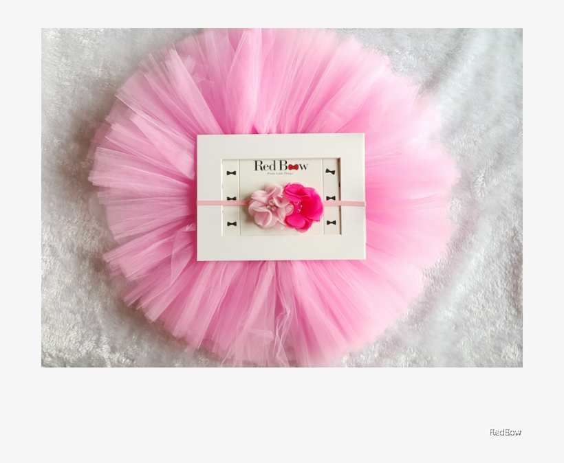 Gerbera, transparent png download