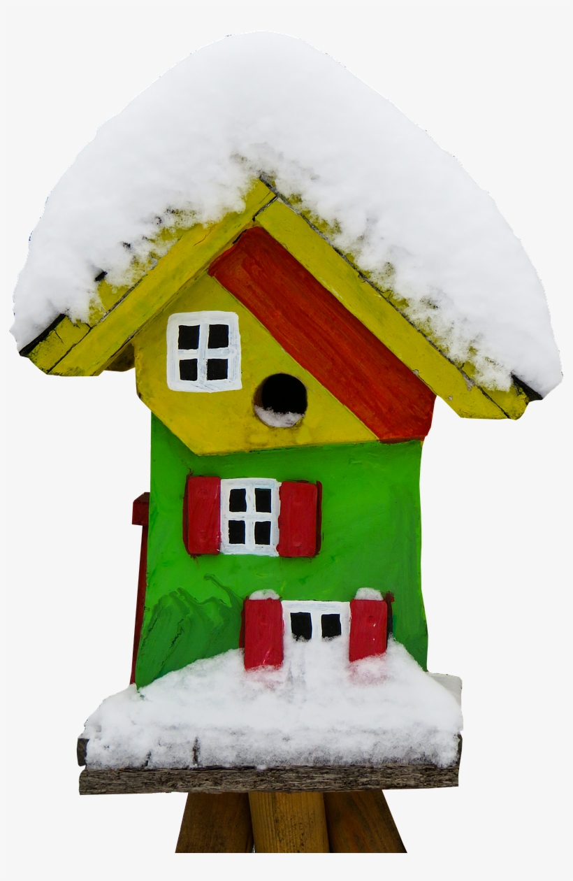 Garden, Winter, Aviary, Snow, Isolated, Bird - Winter, transparent png download