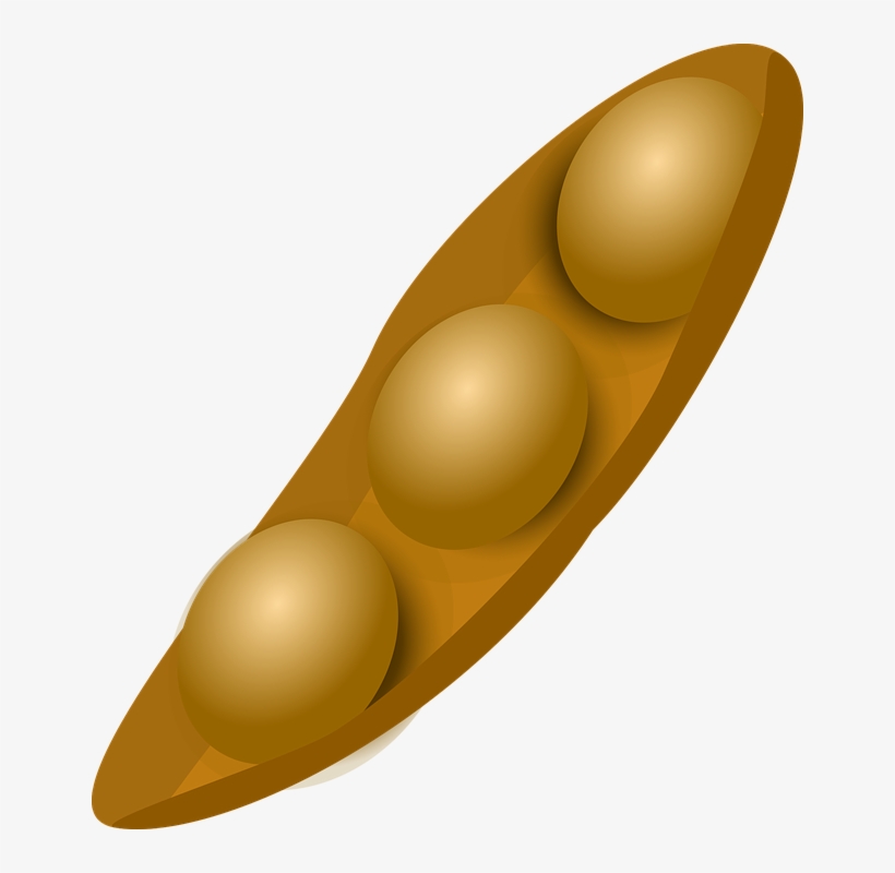 Pin Seeds Clipart Soybean - Soybean Clipart, transparent png download