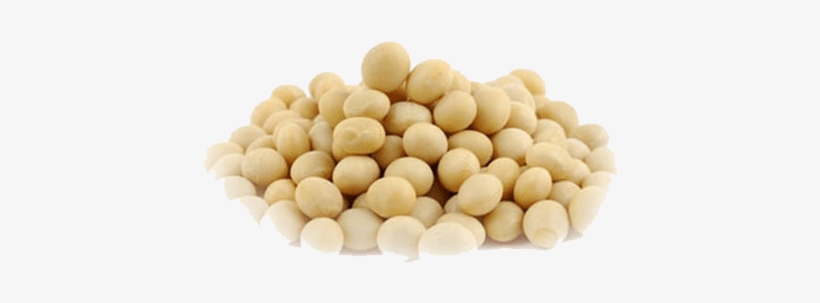 We Read Or Hear Different Opinions About Soy, Some - Salamander99 2x Moritaya Tofu Yogurt Pack (tama No, transparent png download