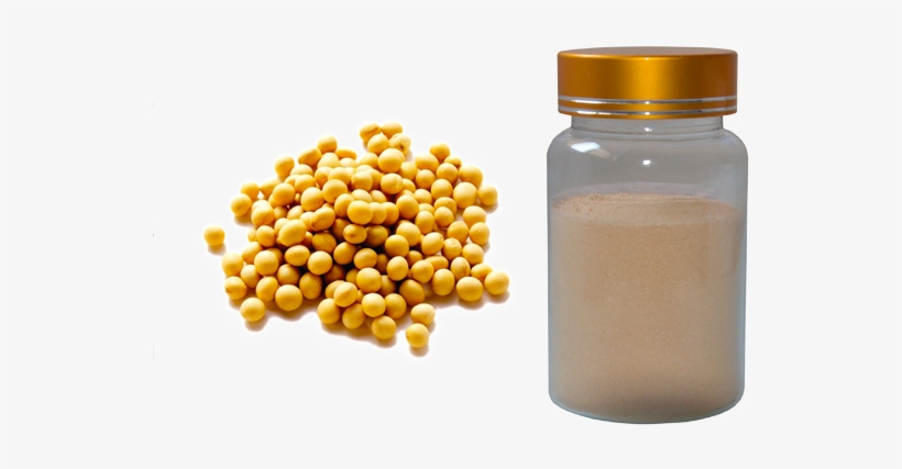 Soy Isoflavones - Soybean Extract, transparent png download