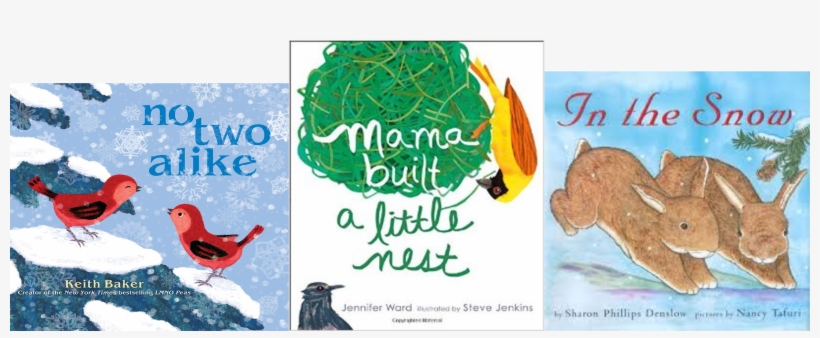 We Read Books About Winter Birds, And Other Birds And - No Two Alike, transparent png download