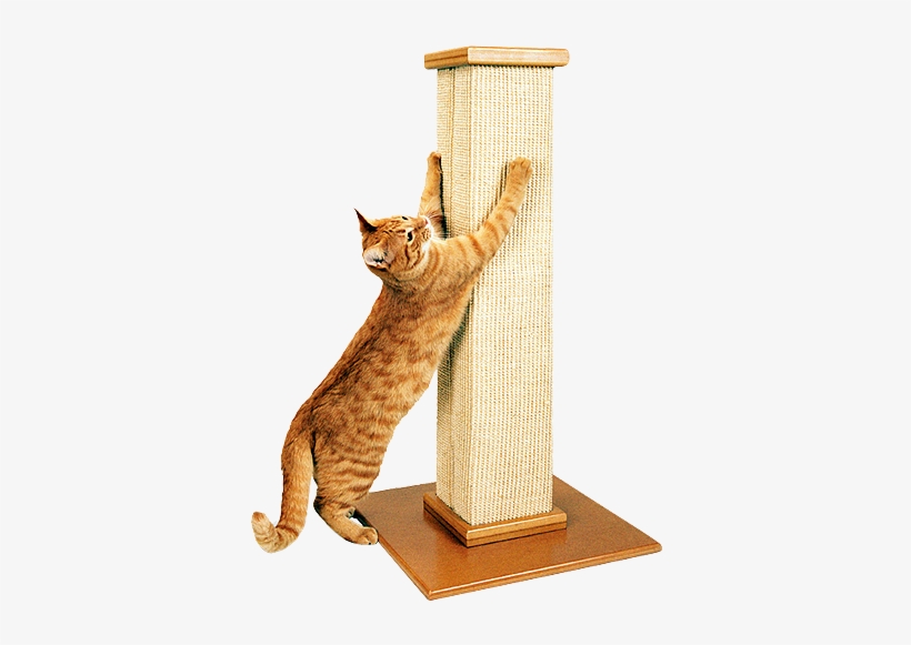 The Ultimate Scratching Post - Cat Scratching Post Australia, transparent png download