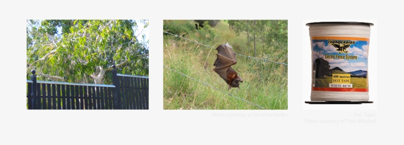 Barbed Wire Dos, Safe Fencing And Hot Tape - Fence, transparent png download