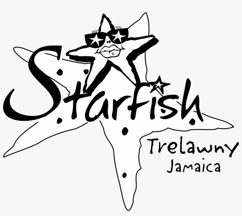Starfish Logo Png Transparent - Starfish, transparent png download
