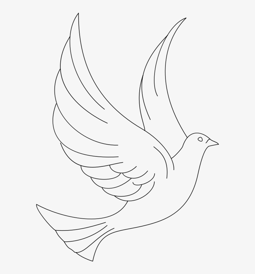 Clipart - Colombe - Sketch, transparent png download