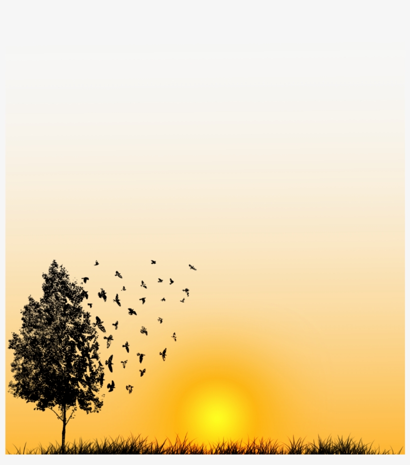 Filter[filter] Sunset - Flock, transparent png download
