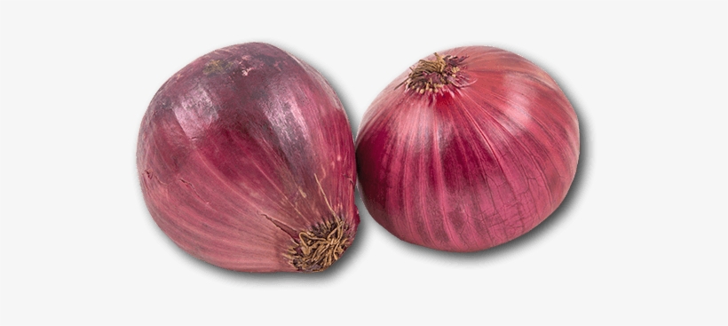 Australia Red Onion - Red Onion, transparent png download