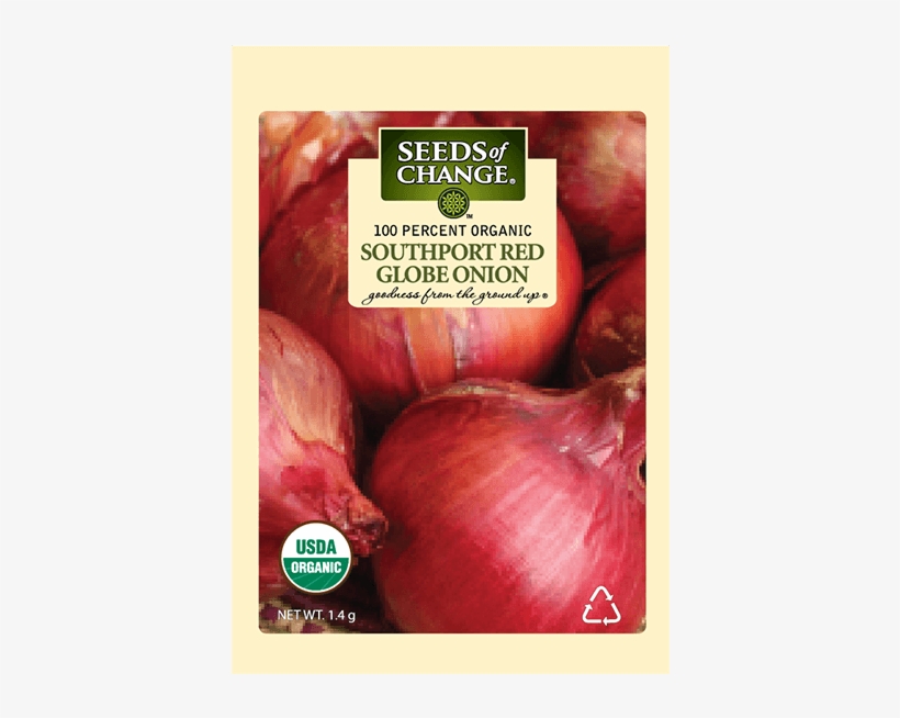 Organic Southport Red Globe Onion Seeds - Usda Organic, transparent png download