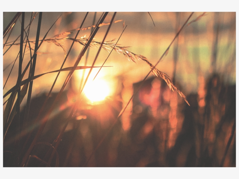 Sunset - Il Libro Delle Vergini - Favola Sentimentale - Racconto, transparent png download