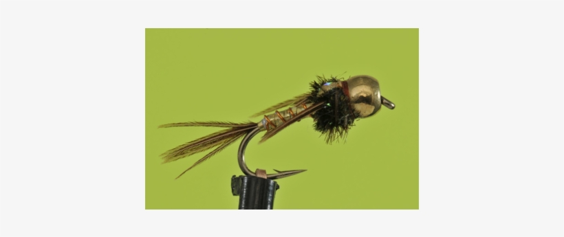 House Fly, transparent png download