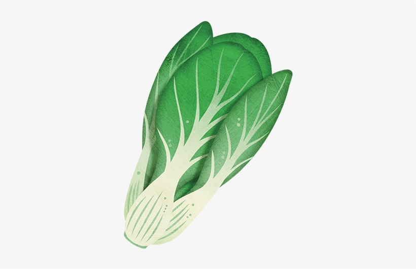 Bok Choy - Artificial Flower, transparent png download