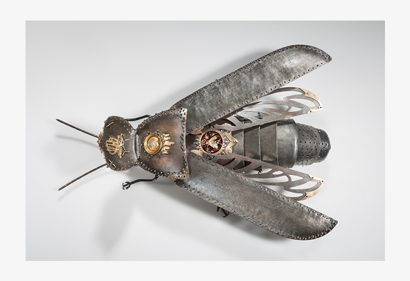 Javascript Image Slider - Locust, transparent png download