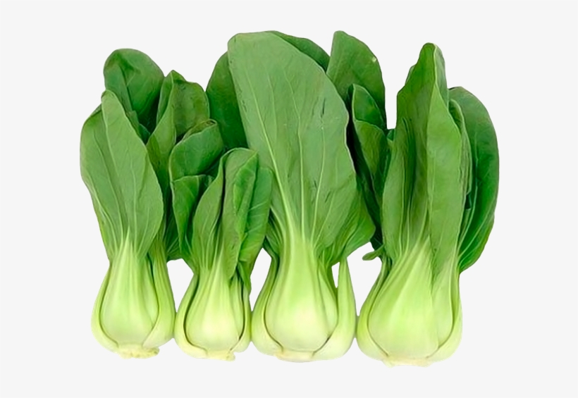 Китайская Капуста Бэби Бок Чой, Шанхайская Капуста - Pak Choi Cabbage Seeds, transparent png download