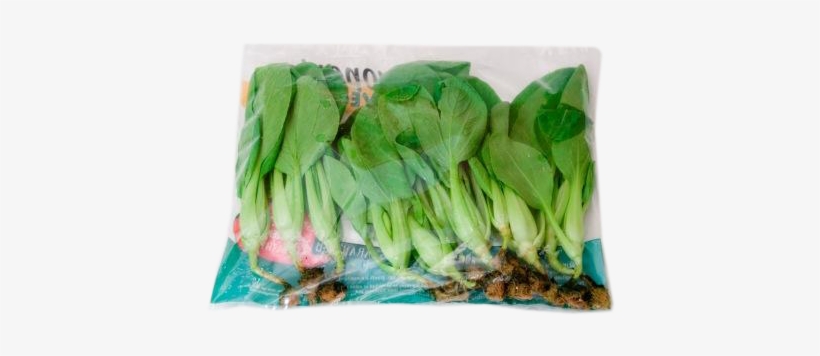 Bok Choy, transparent png download