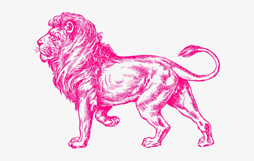 Pink Lion Clip Art - Full Body Lion Sketch, transparent png download