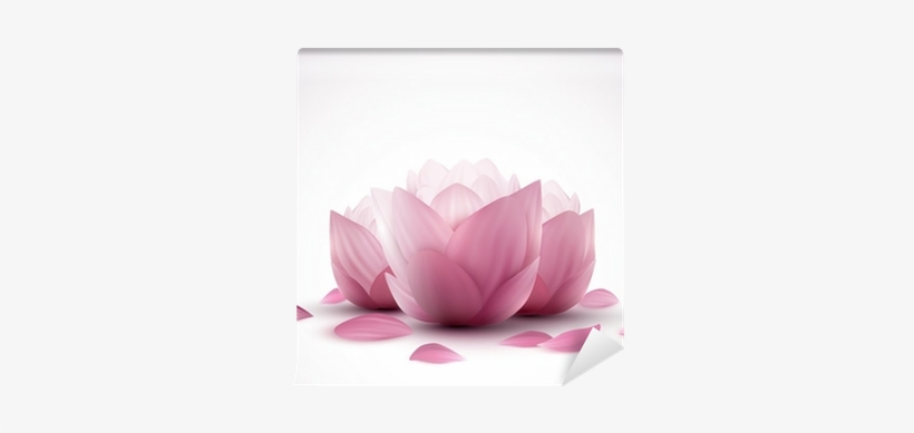 Eindeutig Eine Einfache Und Effektive Anleitung Lernen,, transparent png download