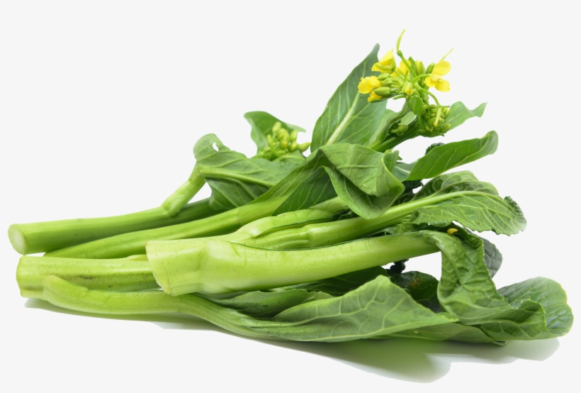 Choy Sum - ผัก ก กาด เขียว, transparent png download