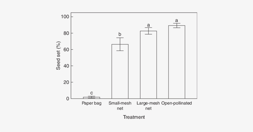 A Comparison Of Seed Sets Of Lotus Flowers Enclosed - Diagram, transparent png download