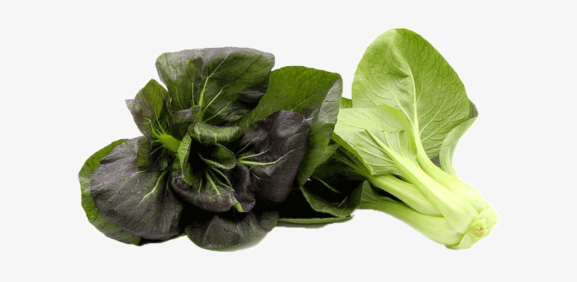 Just No Crypto Carrots - Purple Magic Pak Choi, transparent png download