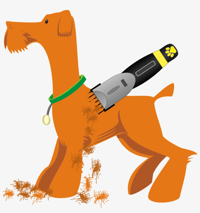 Poodle - Собака Вектор Png, transparent png download