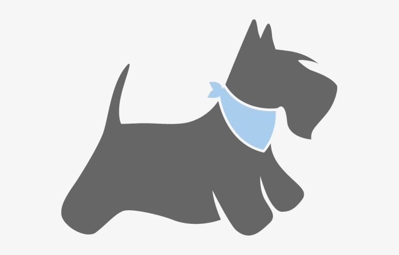 Bathandbone-dogonly - Bath & Bone Dog Grooming, transparent png download