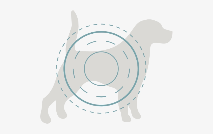 Full Groom - Canvas Print, transparent png download