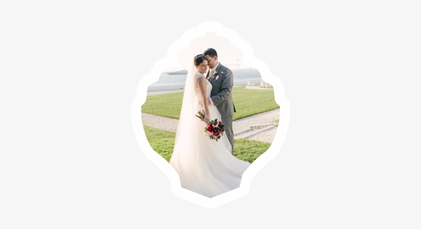 Reviews » Stephanie Vegliante Photography - Stephanie Vegliante Photography, transparent png download