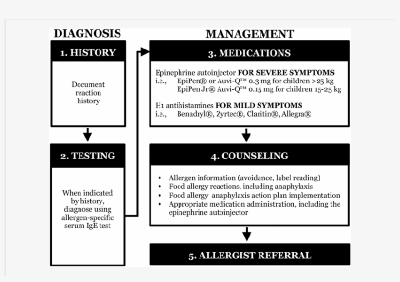 Adaption Of National Institute Of Allergy And Infectious - Allergy, transparent png download