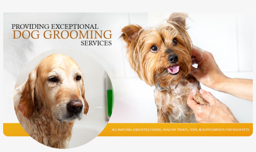 Welcome To Happy Dog Wash - Bath Dogs, transparent png download