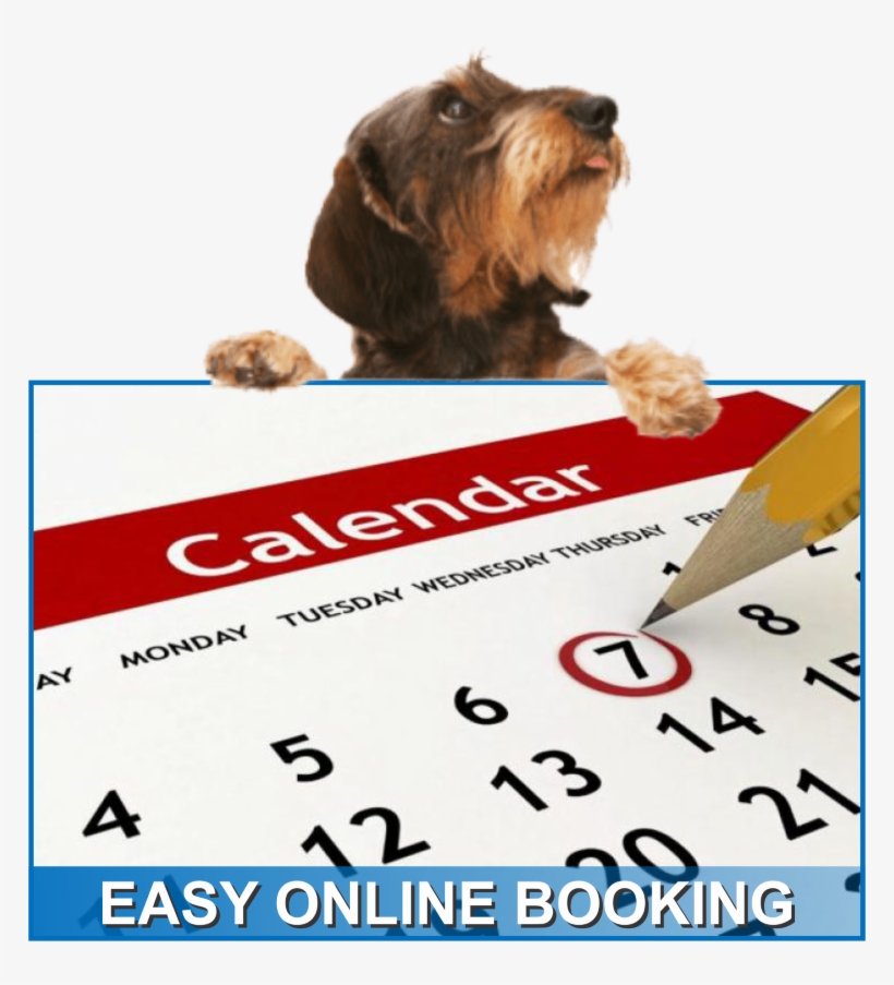 Crate-free, Fun, Playful, Friendly, And Sanitized Environment - Diary Dates, transparent png download