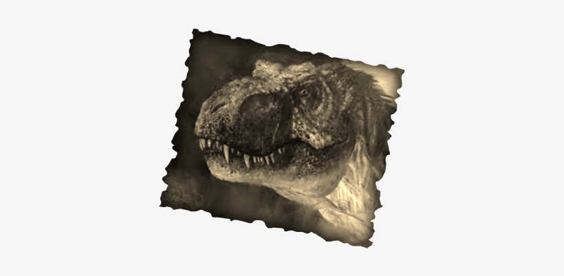 Today I Will Be Teaching You About A Tyrannosaurus - Tyrannosaurus, transparent png download