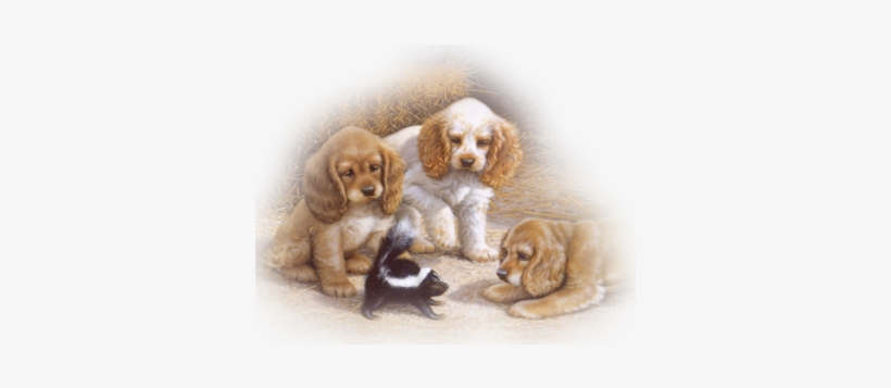Cocker Pups Trio Wskunk - Rihe Diy Oil Painting By Numbers -dog Ite Christmas, transparent png download
