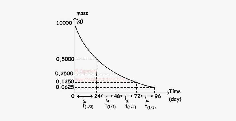 As You Can See From The Graph, Mass Decreases With - Draw A Half Life Graph, transparent png download