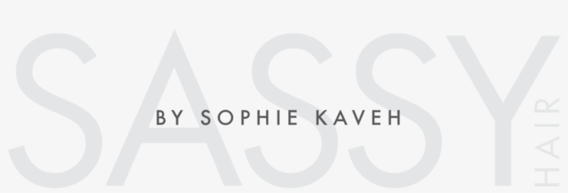 Sassy Png, transparent png download