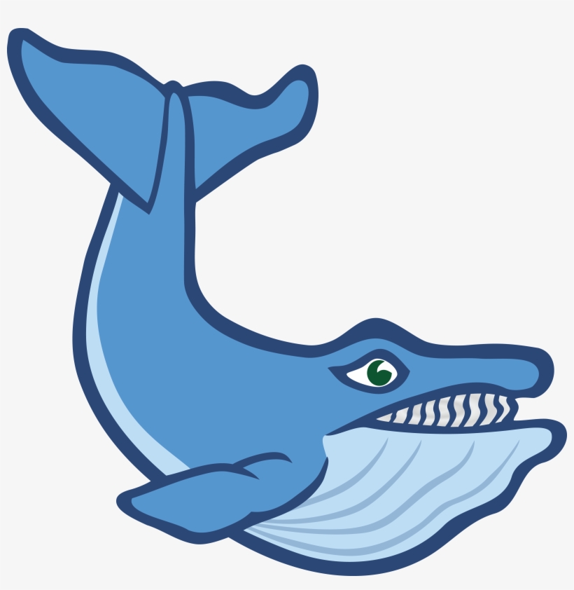 Free Clipart Of A Whale - Sea Animal Flash Cards, transparent png download