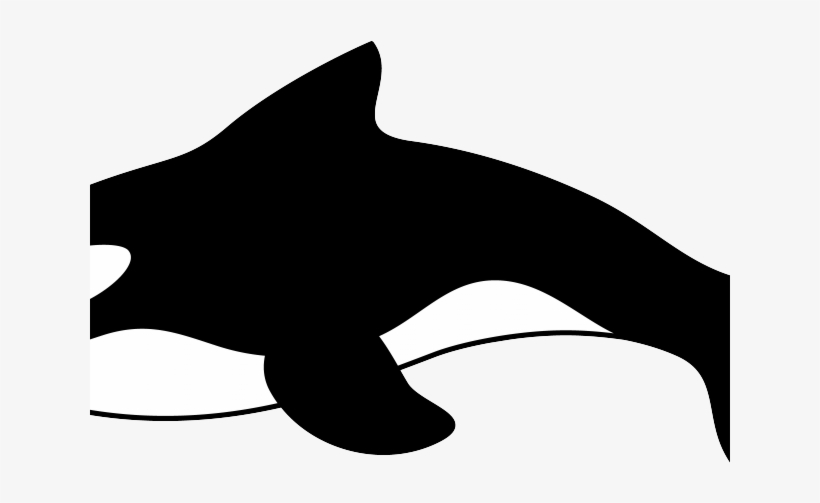 Cartoon Whale - Whale Clip Art, transparent png download