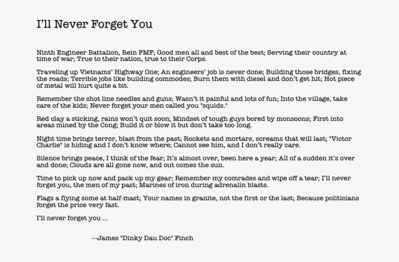 I'll Never Forget You Ninth Engineer Battalion, Rein - Half Assed Attempt Was Made, transparent png download