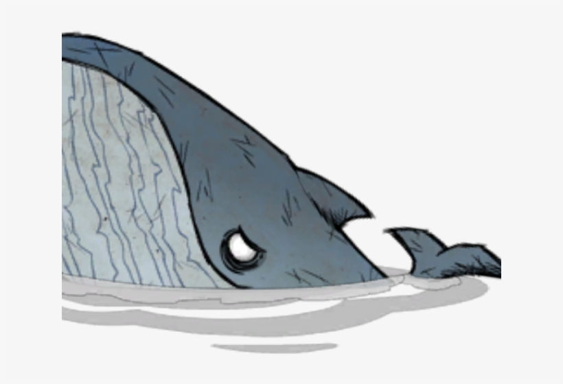 Cartoon Whale Png - Blue Whale, transparent png download