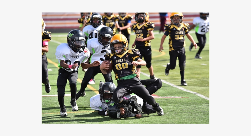 2017 Homecoming Peewee Football, transparent png download