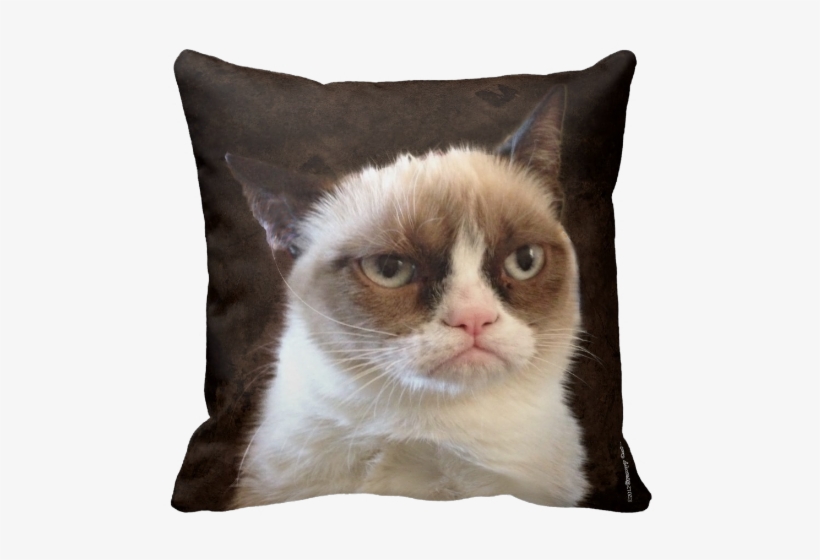 Time To Go Home From Vacation, transparent png download