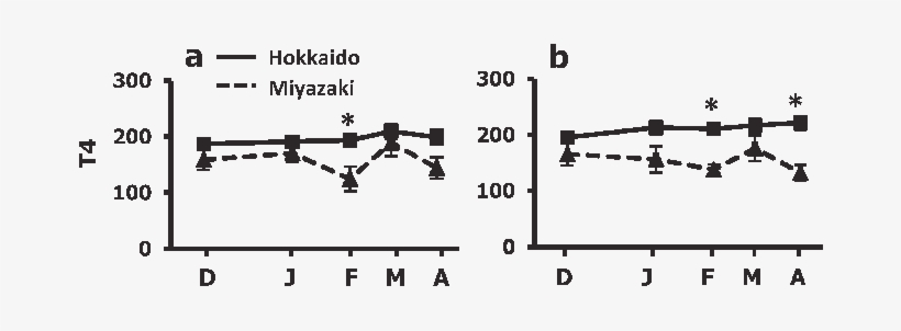 Changes Of Circulating Total T4 Concentrations In Colts - Diagram, transparent png download