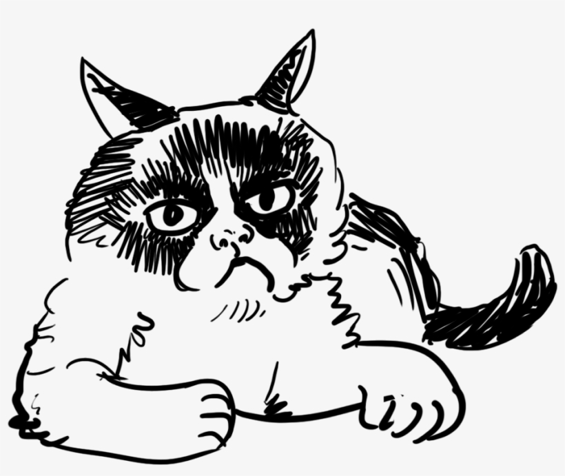 Cat Cat - Domestic Short-haired Cat, transparent png download
