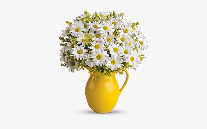 More Views, transparent png download