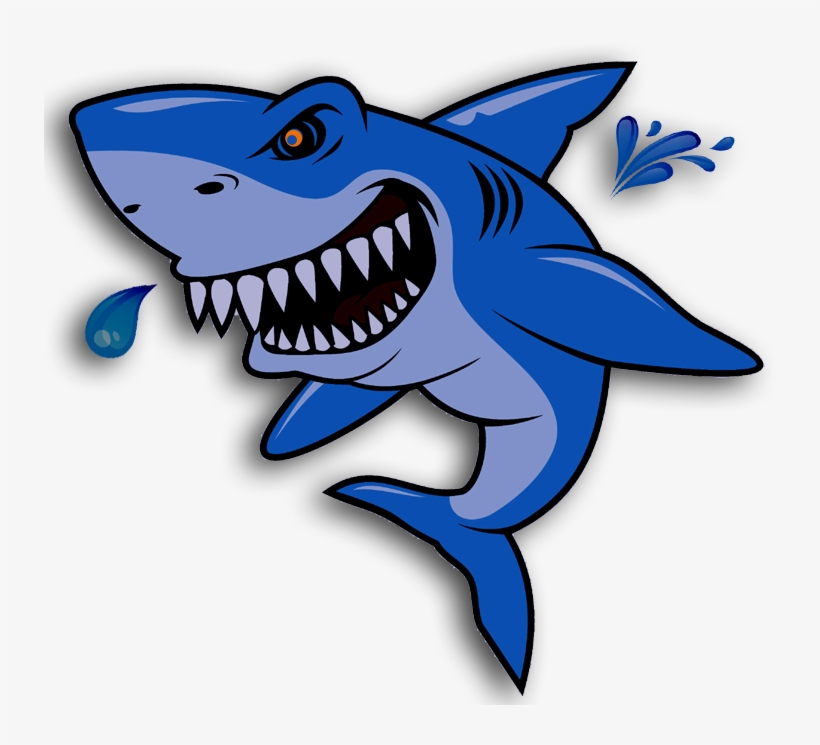 From Beginners To National Champions, Our Sharks Strive, transparent png download